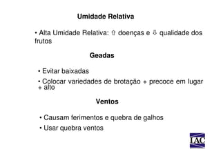 Umidade Relativa

• Alta Umidade Relativa:      doenças e   qualidade dos
frutos

                     Geadas

 • Evitar baixadas
 • Colocar variedades de brotação + precoce em lugar
 + alto

                      Ventos

 • Causam ferimentos e quebra de galhos
 • Usar quebra ventos
 