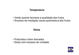 Temperatura


• Verão quente favorece a qualidade dos frutos
• Excesso de insolação causa queimadura dos frutos


                 Solos


• Profundos e bem drenados
• Solos com excesso de umidade
 