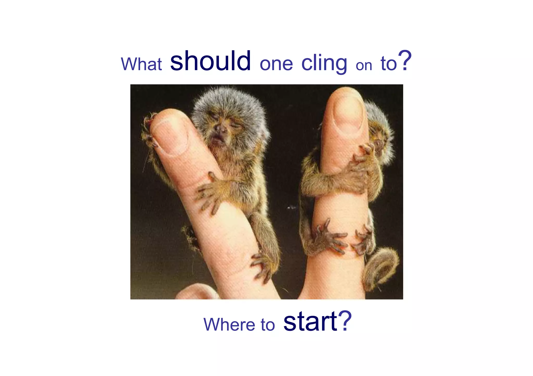 What   should one cling on to?




          Where to   start?
 