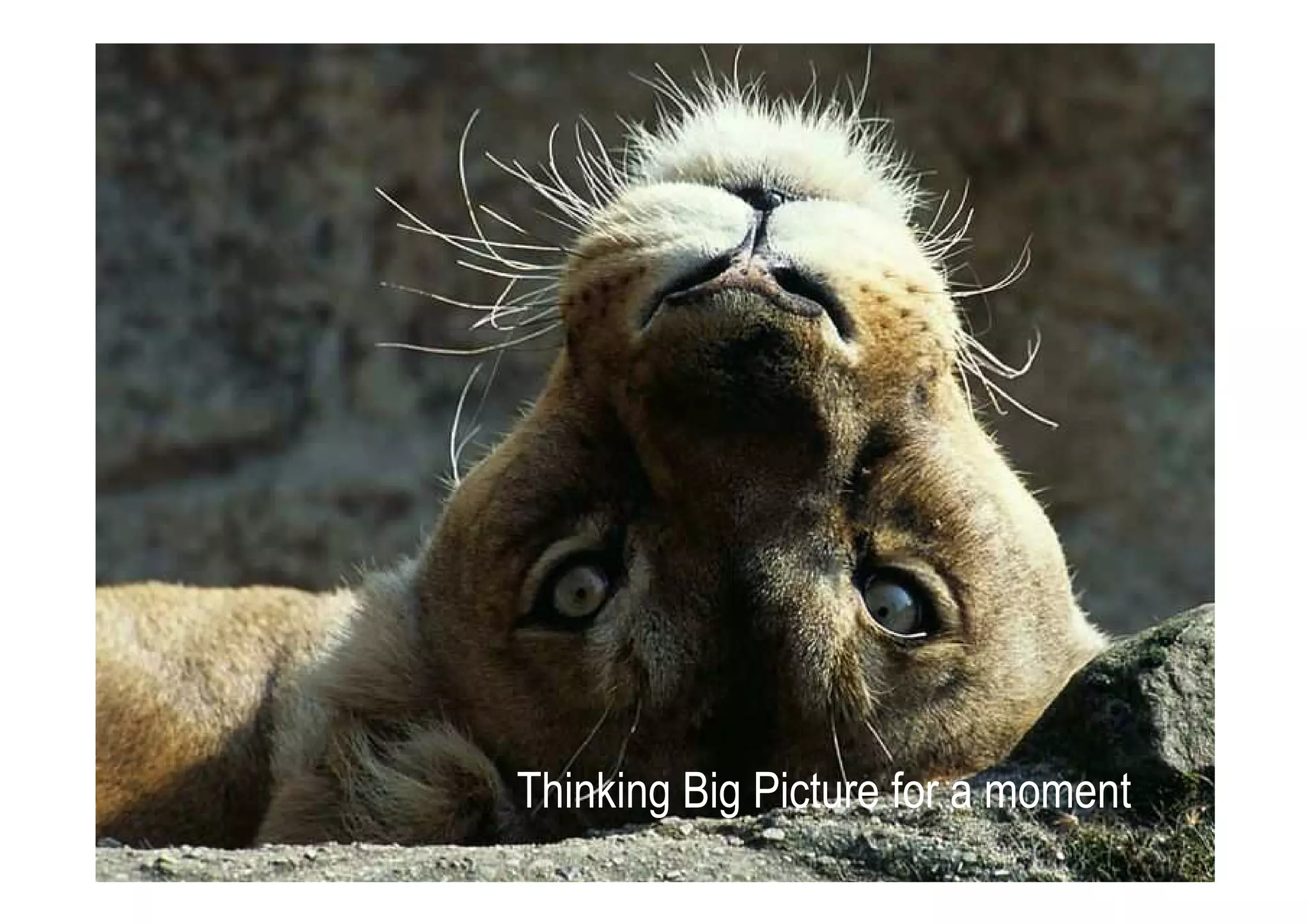 Thinking Big Picture for a moment
 