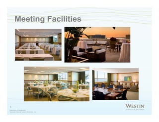 Microsoft Power Point   Power Point Presentation