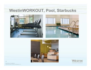 Microsoft Power Point   Power Point Presentation