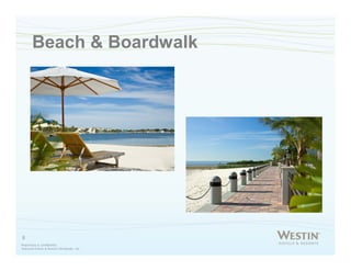 Microsoft Power Point   Power Point Presentation