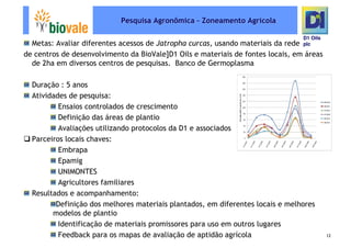 Microsoft Power Point   Programa De Pesquisa Em Rede Bio Vale]D1 Oils