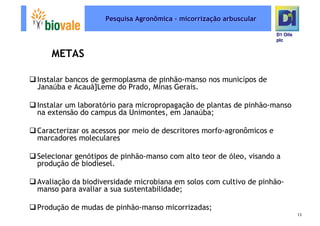 Microsoft Power Point   Programa De Pesquisa Em Rede Bio Vale]D1 Oils