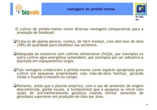 Microsoft Power Point   Programa De Pesquisa Em Rede Bio Vale]D1 Oils