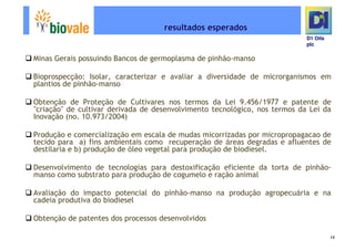 Microsoft Power Point   Programa De Pesquisa Em Rede Bio Vale]D1 Oils