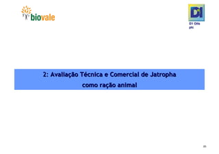 Microsoft Power Point   Programa De Pesquisa Em Rede Bio Vale]D1 Oils