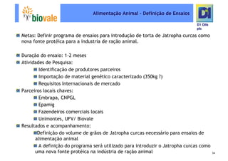 Microsoft Power Point   Programa De Pesquisa Em Rede Bio Vale]D1 Oils