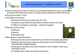 Microsoft Power Point   Programa De Pesquisa Em Rede Bio Vale]D1 Oils