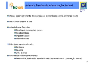 Microsoft Power Point   Programa De Pesquisa Em Rede Bio Vale]D1 Oils