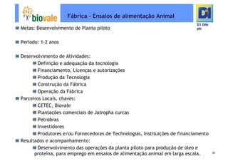 Microsoft Power Point   Programa De Pesquisa Em Rede Bio Vale]D1 Oils
