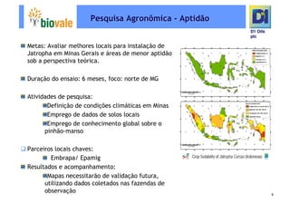 Microsoft Power Point   Programa De Pesquisa Em Rede Bio Vale]D1 Oils