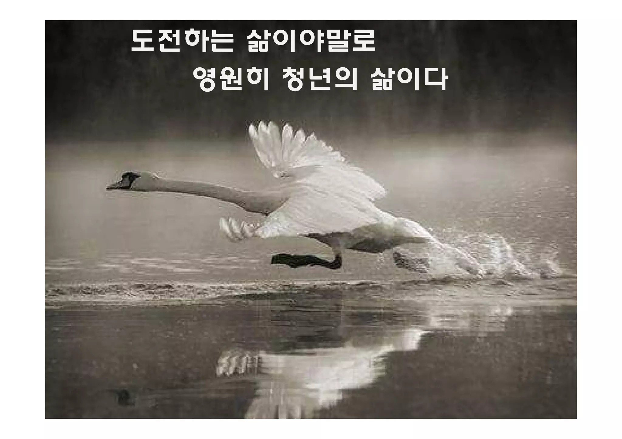 도전하는 삶이야말로
  영원히 청년의 삶이다
 