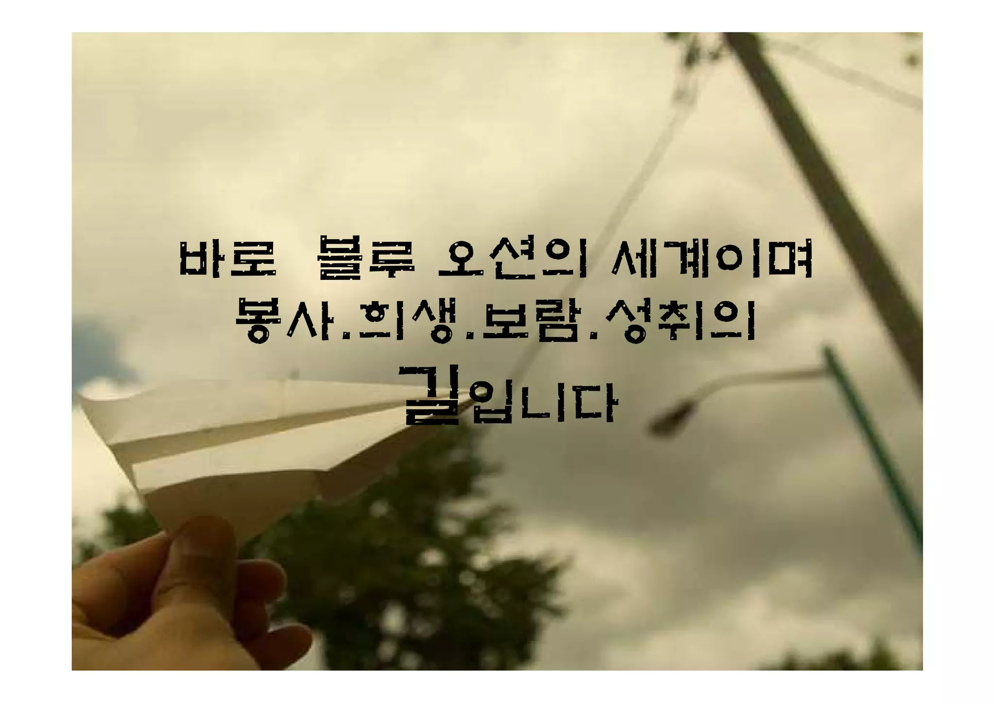 바로 블루 오션의 세계이며
 봉사.희생.보람.성취의
    길입니다
 