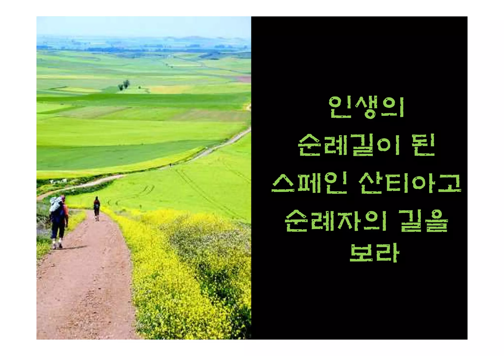 인생의
 순례길이 된
스페인 산티아고
 순례자의 길을
    보라
 