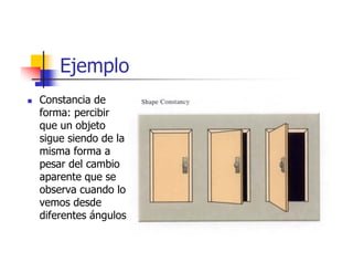 Ejemplo
Constancia de
forma: percibir
que un objeto
sigue siendo de la
misma forma a
pesar del cambio
aparente que se
observa cuando lo
vemos desde
diferentes ángulos
 