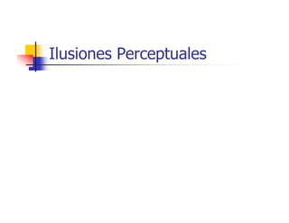 Ilusiones Perceptuales
 