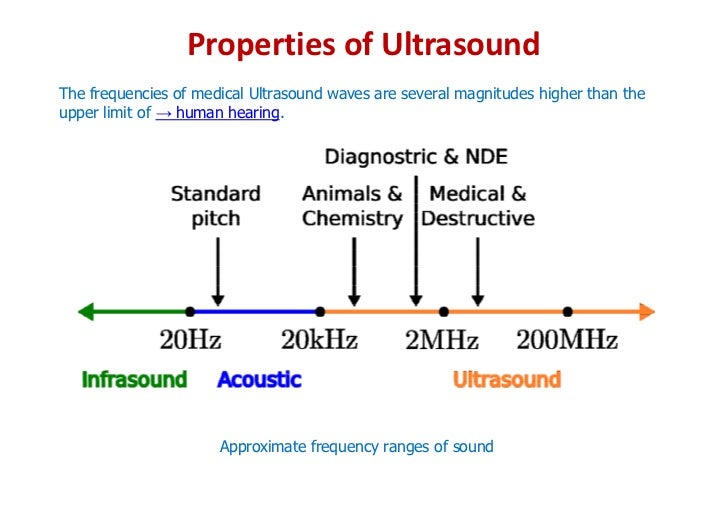 Basics of Ultrasound
