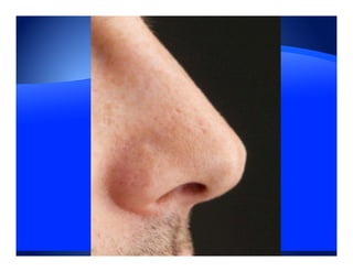 Video Blogging Presentation Yes Media Works