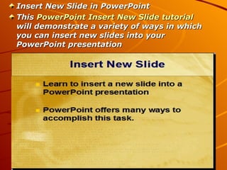 Microsoft Powerpoint 2003 | PPT
