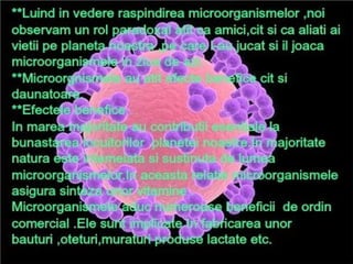 Microsoft power point presentation