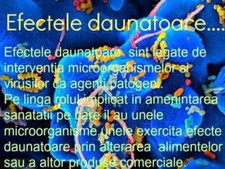 Microsoft power point presentation