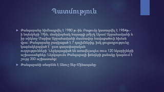 Պատմություն
 Թանգարանը հիմնադրվել է 1980 թ.-ին։ Բացումը կատարվել է 1984թ.-
ի նոյեմբերի 19ին, մոսկվաբնակ հայազգի բժիշկ Արամ Աբրահամյանի և
իր տիկնոջ Մարիա Աբրահամյանի մասնավոր հավաքածուի հիման
վրա։ Թանգարանը բաղկացած է 7 դալիճներից, իսկ ցուցադրությունը
կազմակերպված է` ըստ գաղափարական
ուղղությունների Ներկայացված են առավելապես ռուս 120 նկարիչների
աշխատանքներ։ Ներկայումս Թանգարայի ֆոնդերի քանակը կազմում է
շուրջ 350 աշխատանք։
 Թանգարանի տնօրենն է Անուշ Տեր-Մինասյանը։
 