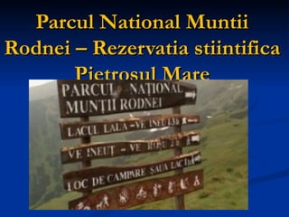Parcul National Muntii Rodnei – Rezervatia stiintifica Pietrosul Mare 