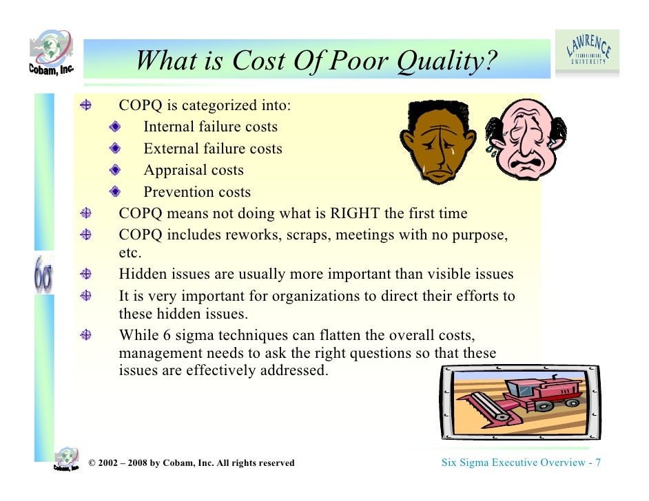 what is an executive overview