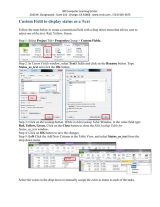 Microsoft project 2010 creating customized field with image & formula | PDF