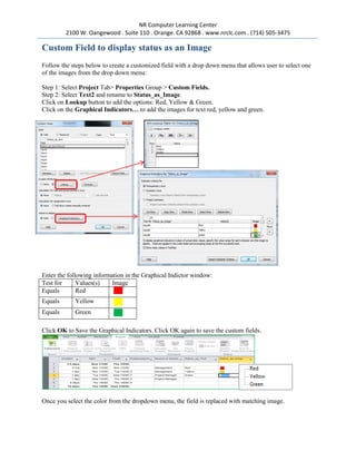 Microsoft project 2010 creating customized field with image & formula | PDF