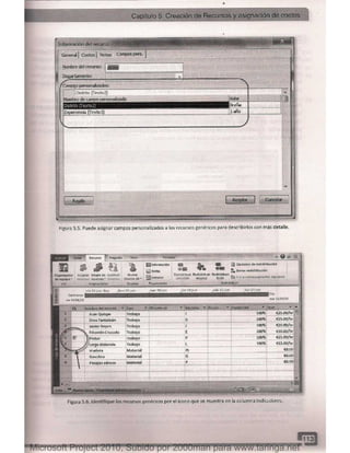 Microsoft project 2010 (final)