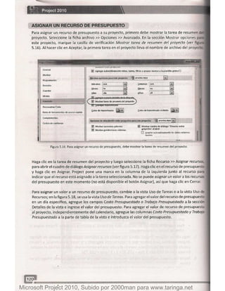 Microsoft project 2010 (final)