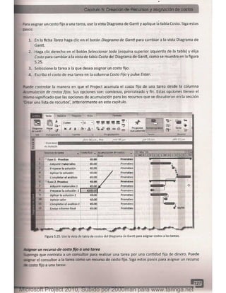 Microsoft project 2010 (final)