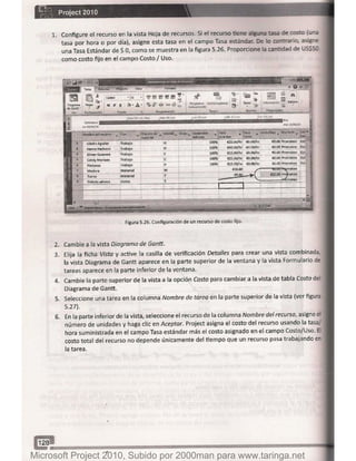 Microsoft project 2010 (final)