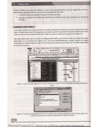 Microsoft project 2010 (final)