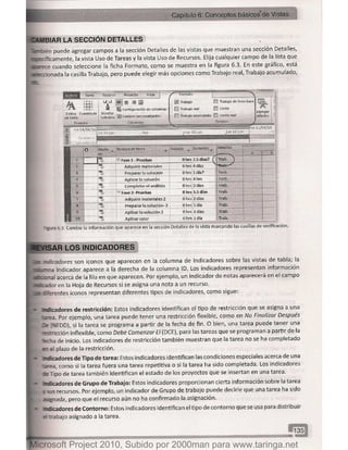 Microsoft project 2010 (final)