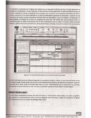 Microsoft project 2010 (final)