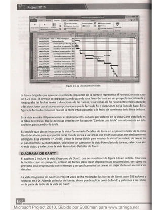 Microsoft project 2010 (final)
