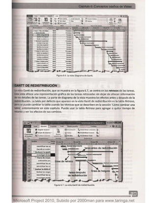 Microsoft project 2010 (final)