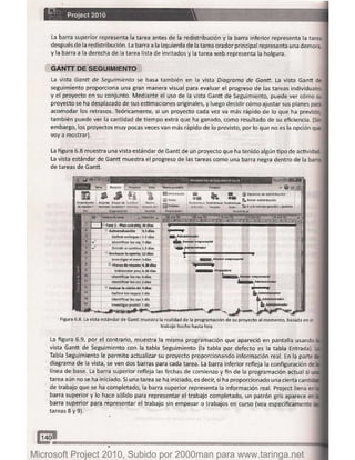 Microsoft project 2010 (final)