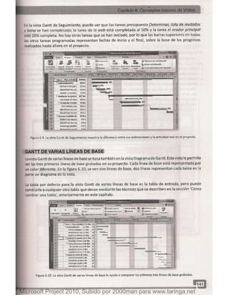 Microsoft project 2010 (final)