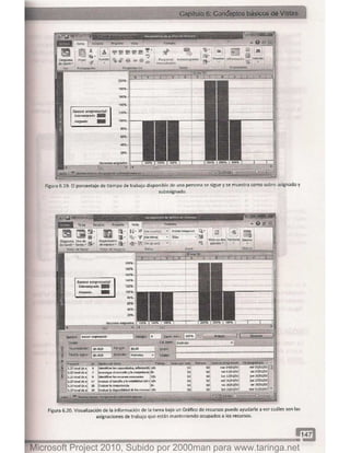 Microsoft project 2010 (final)