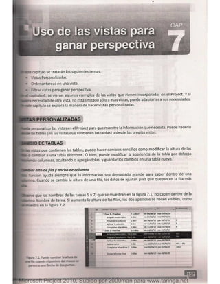 Microsoft project 2010 (final)