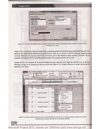 Microsoft project 2010 (final)