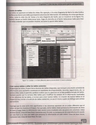 Microsoft project 2010 (final)