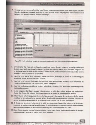 Microsoft project 2010 (final)