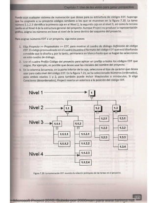 Microsoft project 2010 (final)