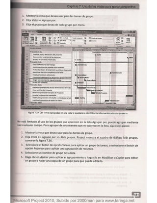 Microsoft project 2010 (final)